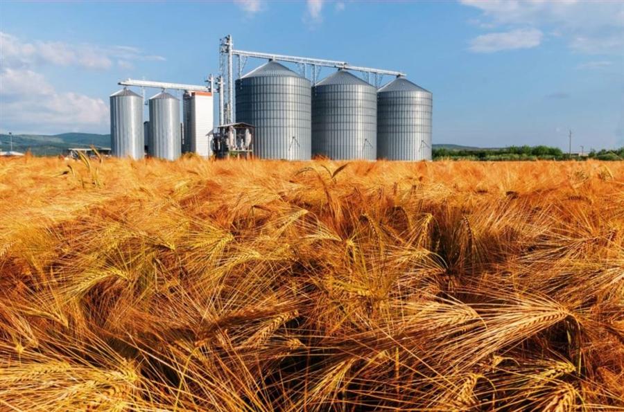 مشروع إقليمي للحبوب بين مصر وروسيا.. كيف يساهم في دعم الأمن الغذائي بالمنطقة؟ 